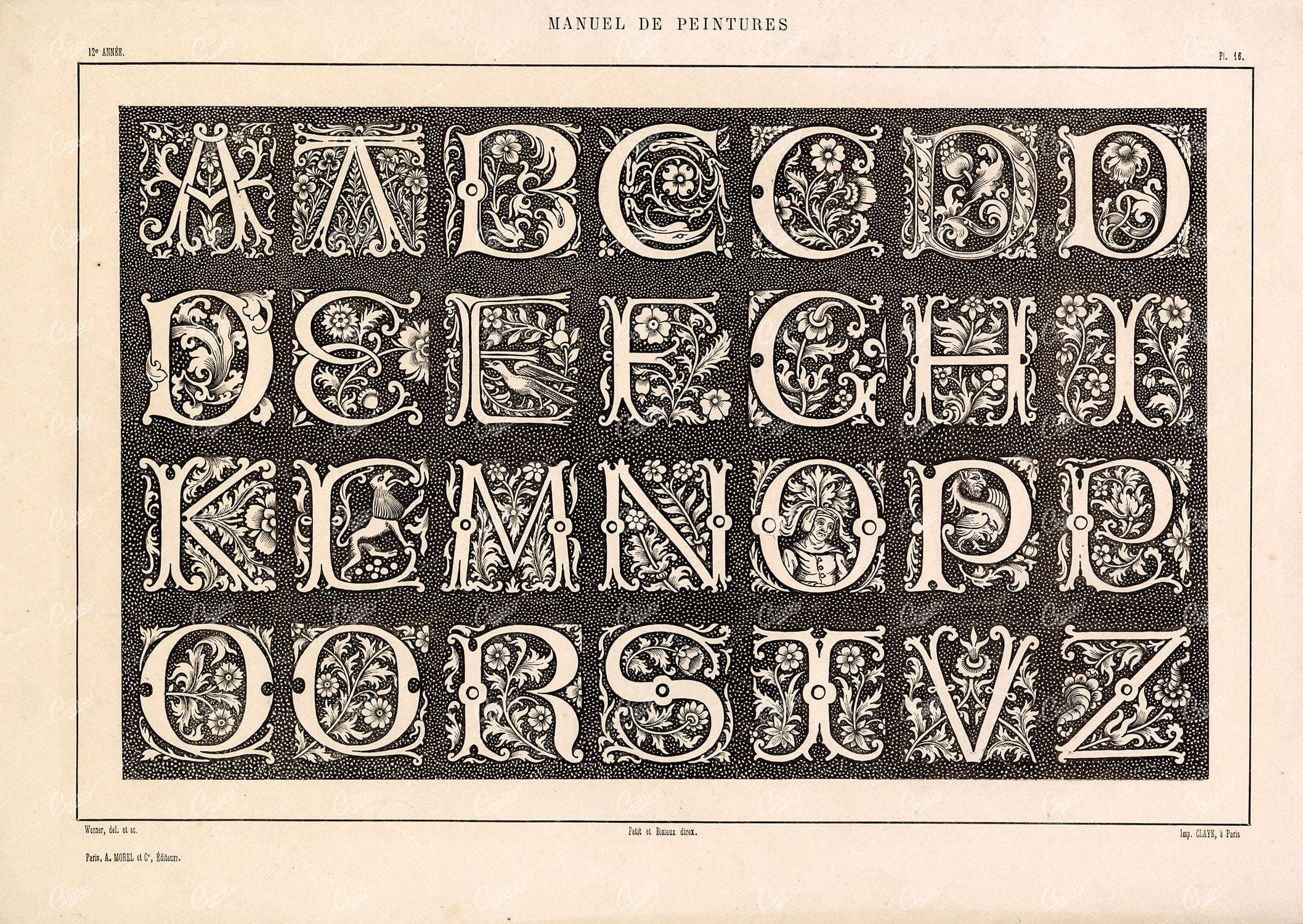 DECORATIVE Ornamental Typography Designs - Antique Alphabet Print 1800s