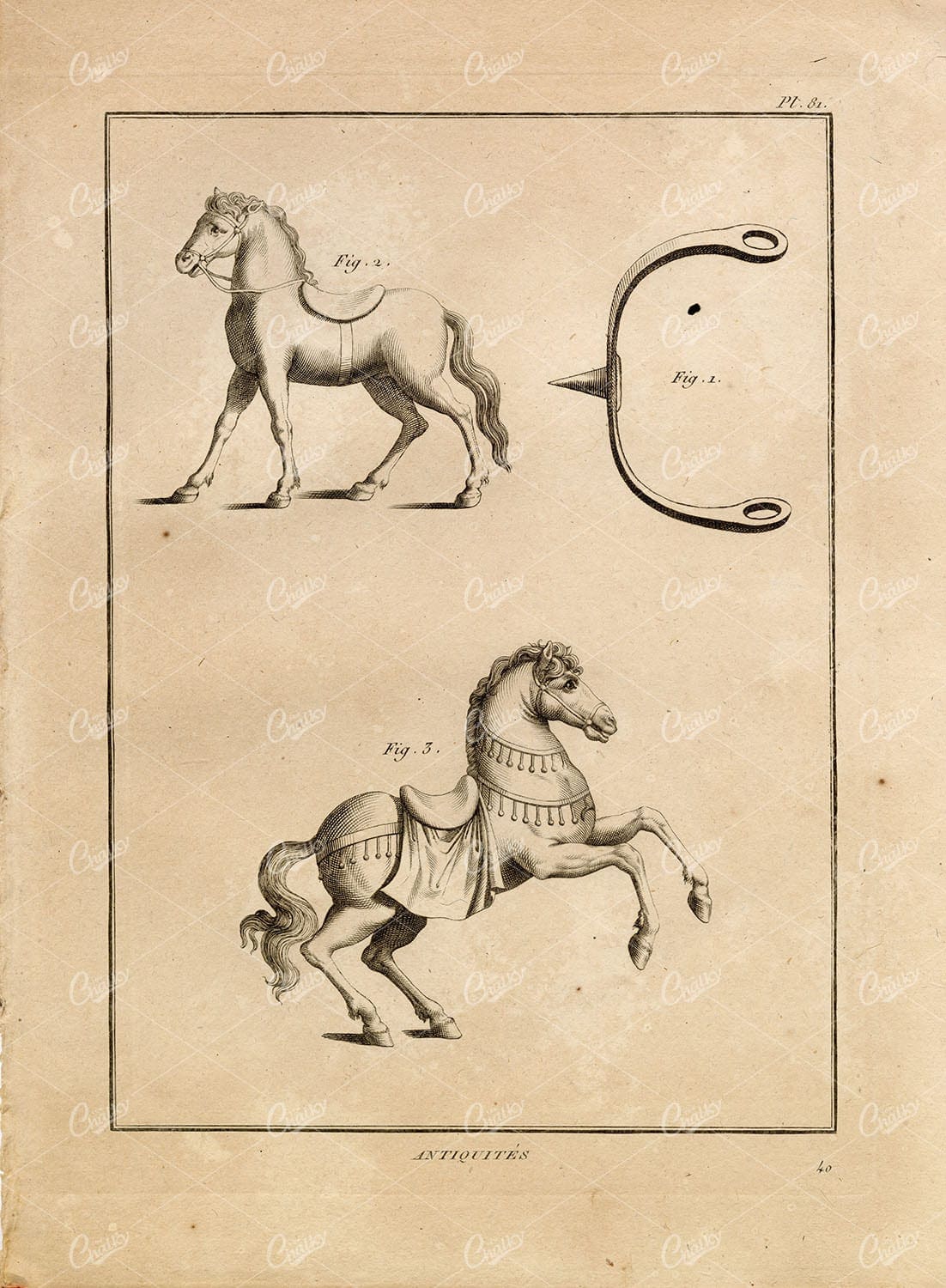 HORSES of Roman Army Simple & Officer's Harness - 1804 Copperplate Print