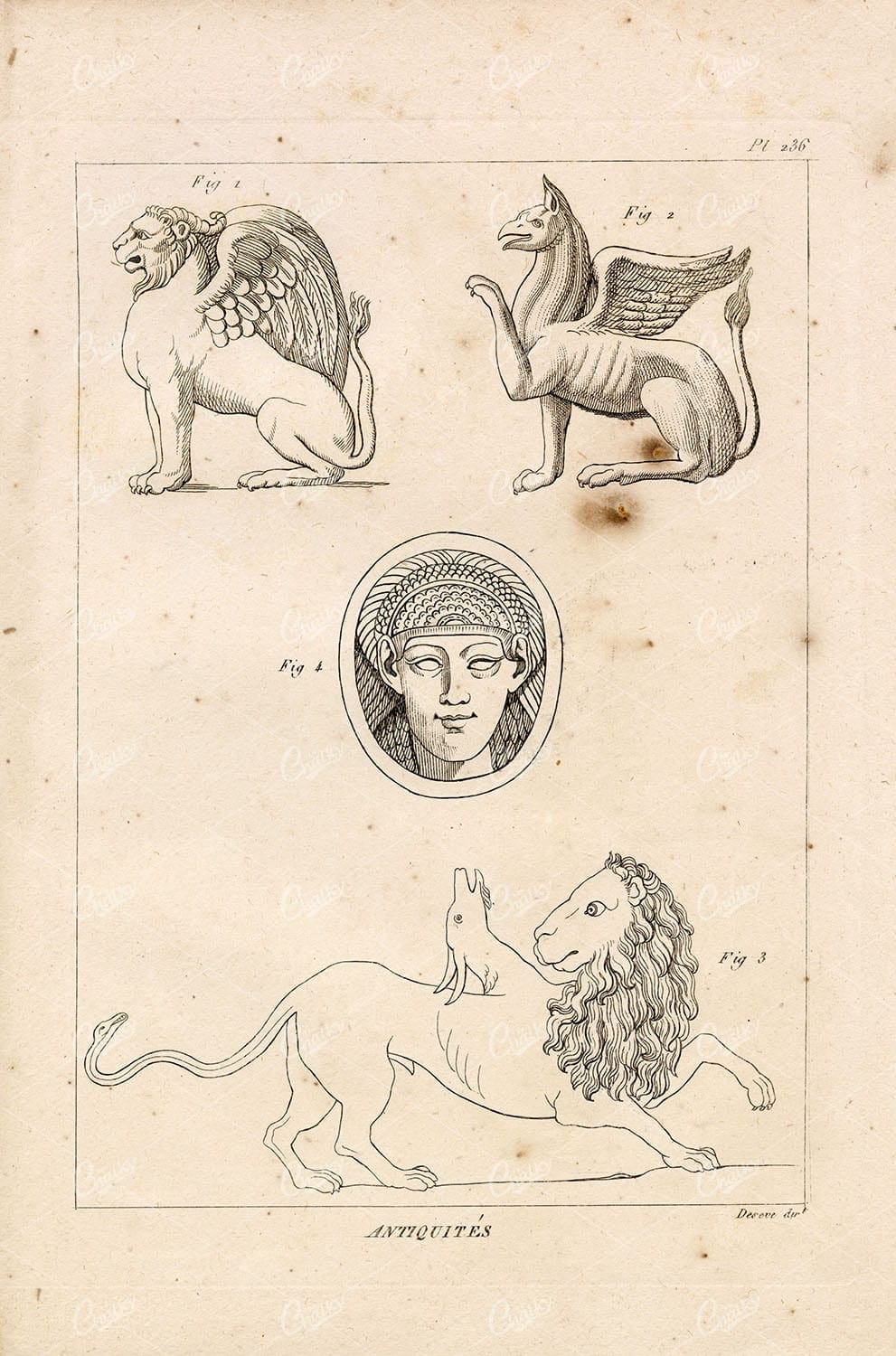 MYTHOLOGY Griffin Gryphon Chimera Isis of Egypt - 1804 Antique Print