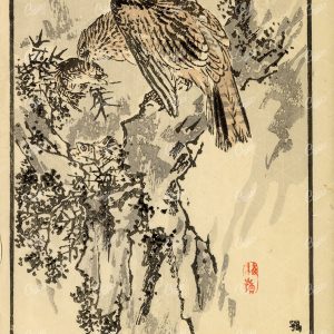 ANTIQUE Original Kono Bairei Bird with Fish Japanese Woodblock Print 1881