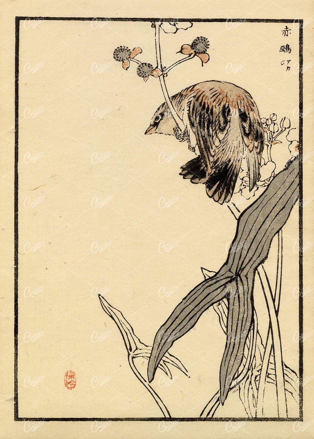 BAIREI, Kono Antique Original Woodblock Japanese Print 1881 Bird on Branch