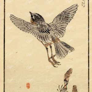 ANTIQUE Original Kono Bairei Bird in Flight Japanese Woodblock Print 1881