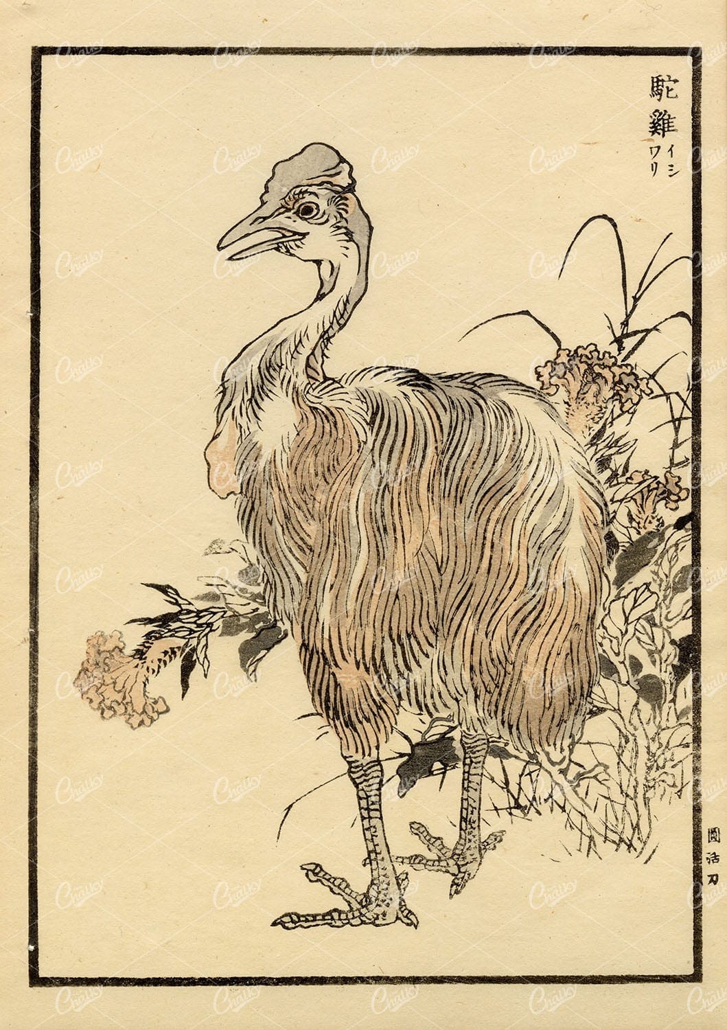 BAIREI, Kono Antique Original Woodblock Japanese Print - Bird and Flowers
