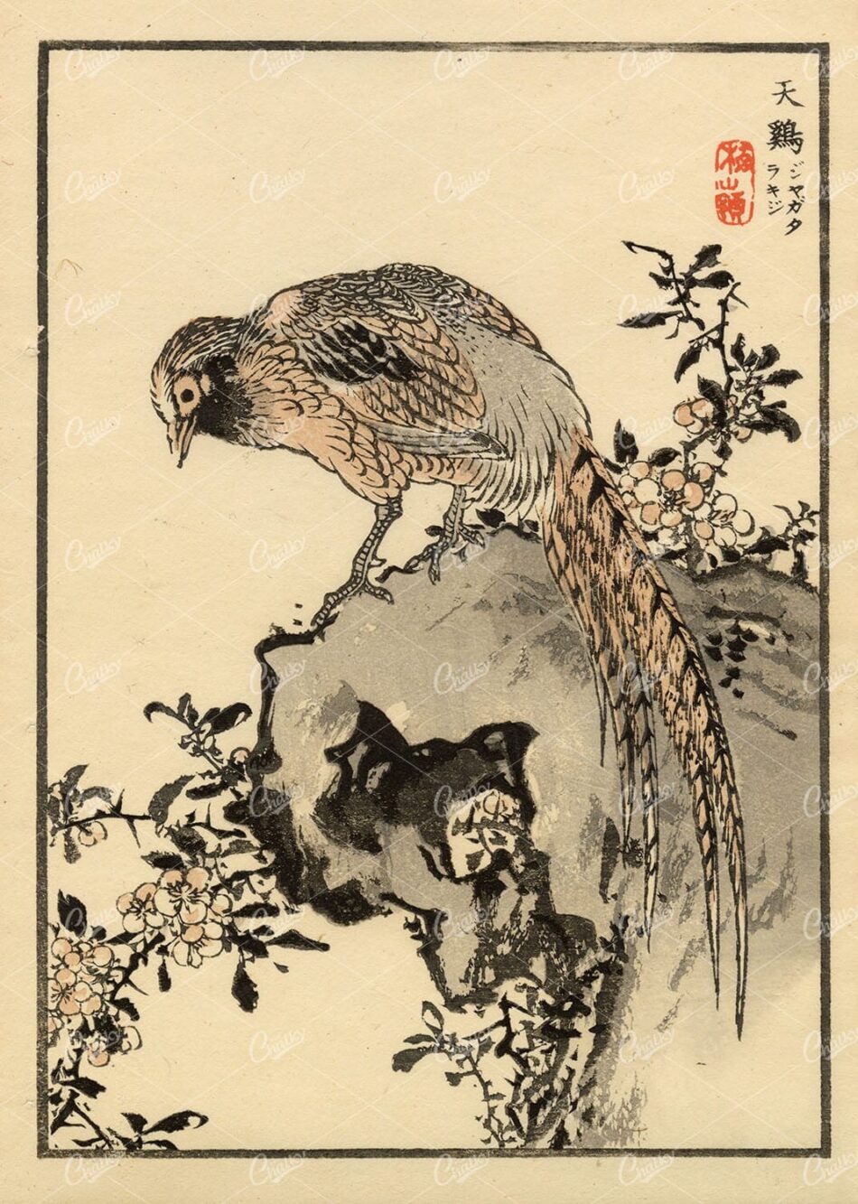 ANTIQUE Original Kono Bairei Woodblock Japanese Print 1881 Bird on Rock