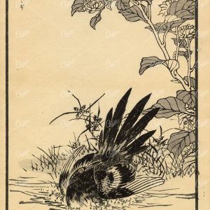ANTIQUE Original Kono Bairei Woodblock Japanese Print 1881 Bird Bath