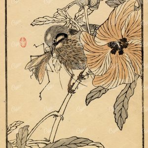ANTIQUE Original Kono Bairei Woodblock Asian Art Print 1881 Bird Eating