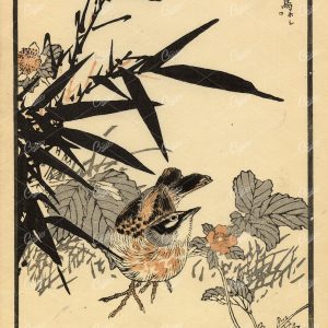 1881 Antique Original Kono Bairei Wood-block Japanese Print - Bird