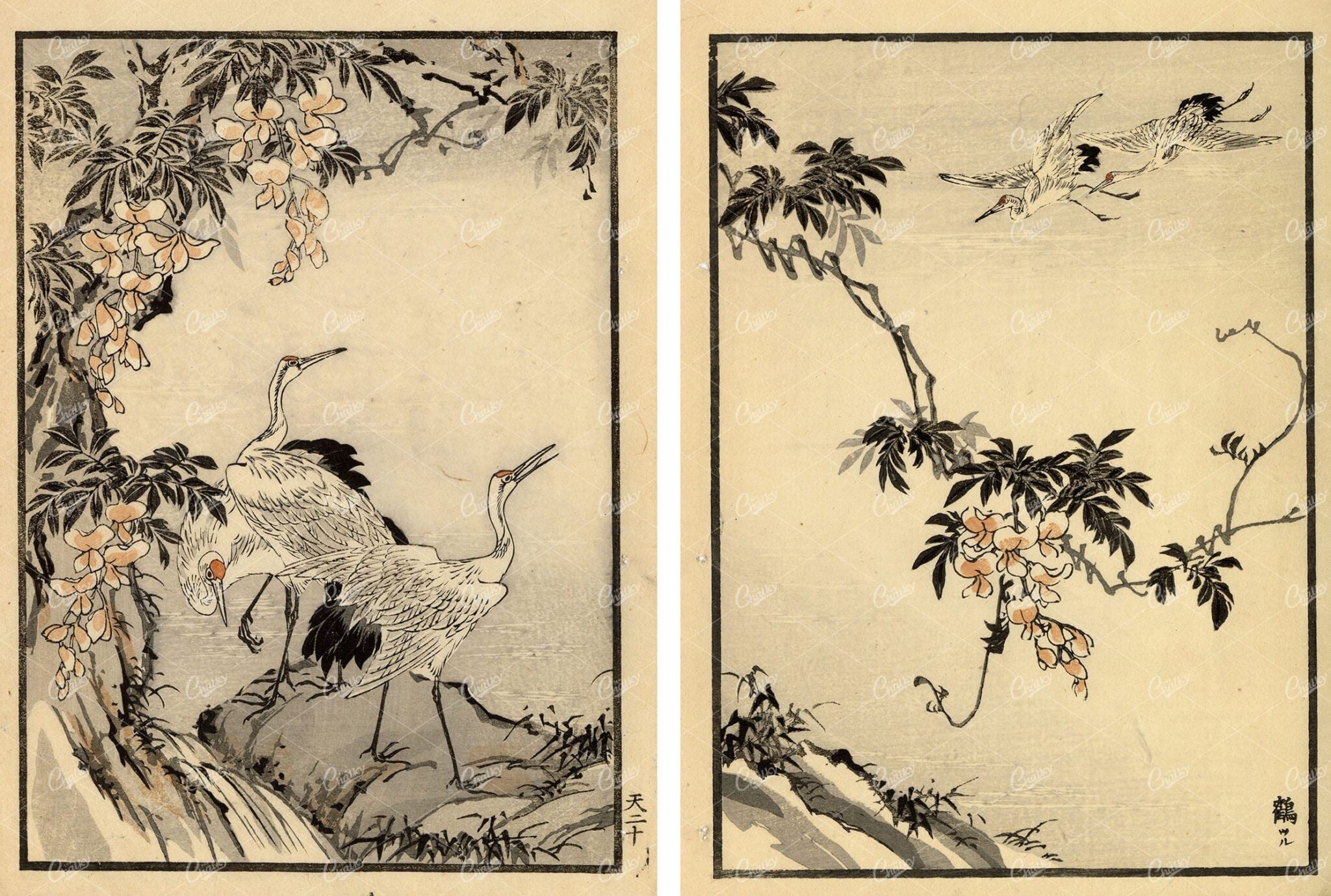 ANTIQUE Original Kono Bairei Wood block Japanese Prints 1881 Cranes Pair