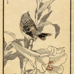 ANTIQUE Original Kono Bairei Woodblock Japanese Print 1881 Bird Flower