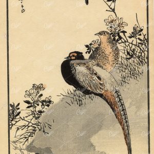 ANTIQUE Original Kono Bairei Wood block Japanese Print 1881 Birds