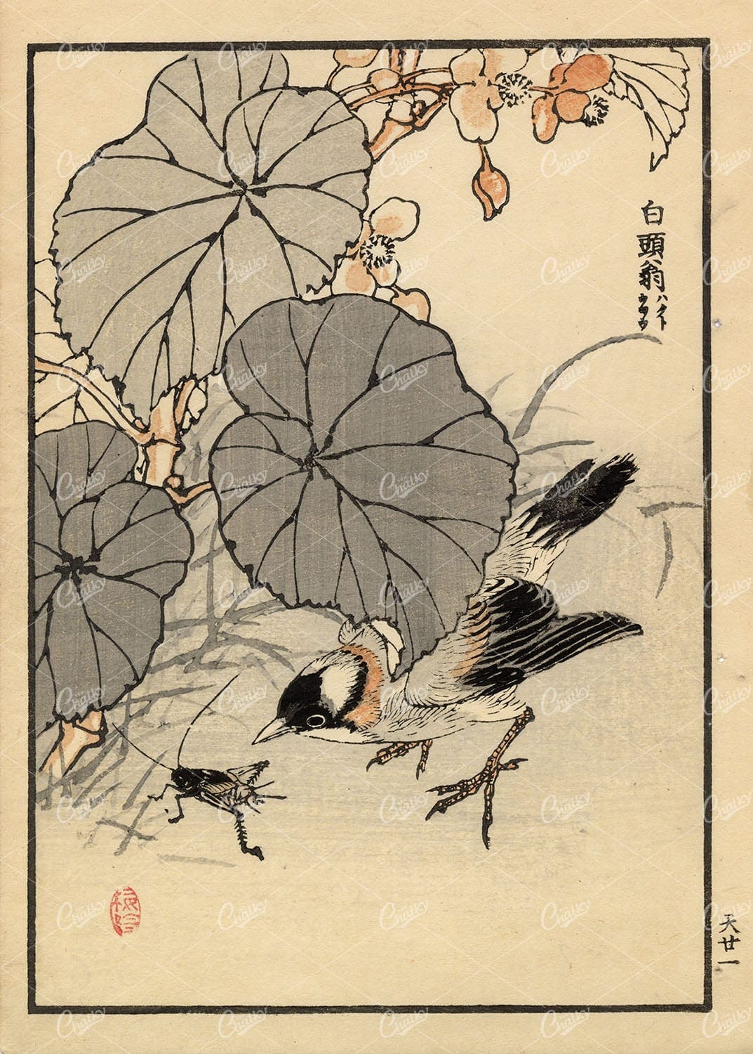 ANTIQUE Original Kono Bairei Woodblock Japanese Print 1881 Bird Food