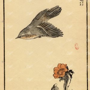 ANTIQUE Original Kono Bairei Woodblock Japanese Print 1881 Bird Flying