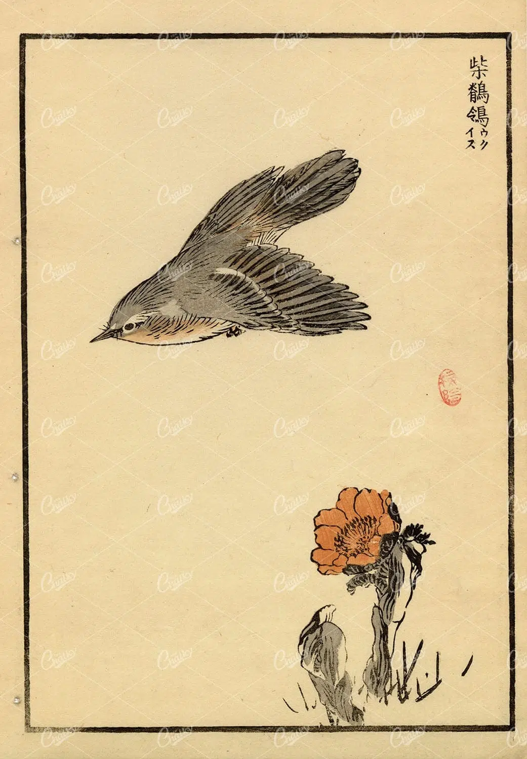 Japanese Songbird on Flowering Branch – Woodblock Print Style