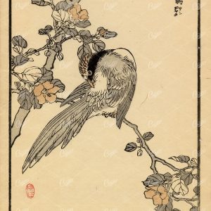 ANTIQUE Original Kono Bairei Woodblock Japanese Print 1881 Bird Feathers