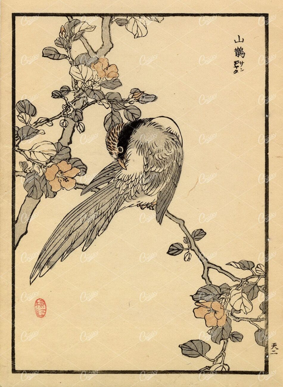 Japanese Songbird On Flowering Branch - Woodblock Print Style