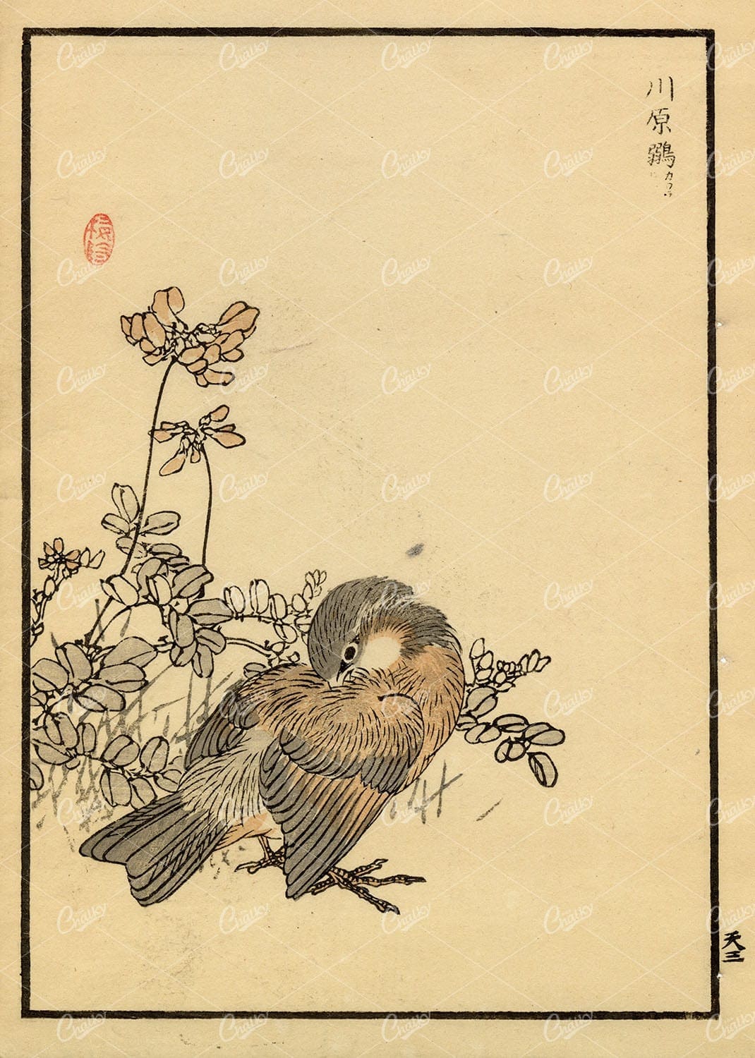 ANTIQUE Original Kono Bairei Woodblock Japanese Print 1881 Bird