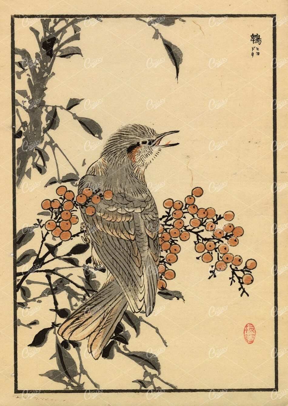 ANTIQUE Original Kono Bairei Woodblock Japanese Print 1881 Bird
