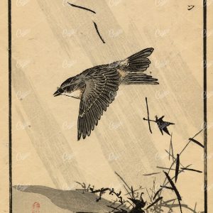 ANTIQUE Original Kono Bairei Woodblock Japanese Print 1881 Bird Flying