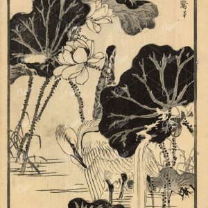 ANTIQUE Original Kono Bairei Woodblock Japanese Print 1881 Bird
