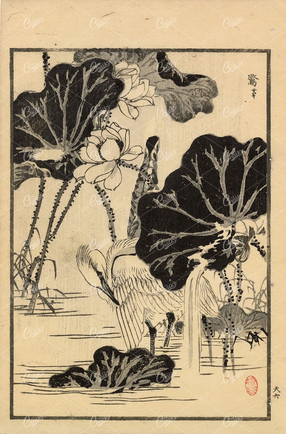 ANTIQUE Original Kono Bairei Woodblock Japanese Print 1881 Bird