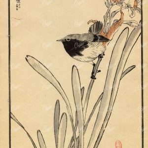 ANTIQUE Original Kono Bairei Woodblock Japanese Print 1881 Bird on Branch