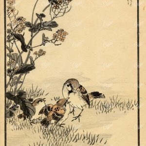 ANTIQUE Original Kono Bairei Woodblock Japanese Print 1881 Bird Family