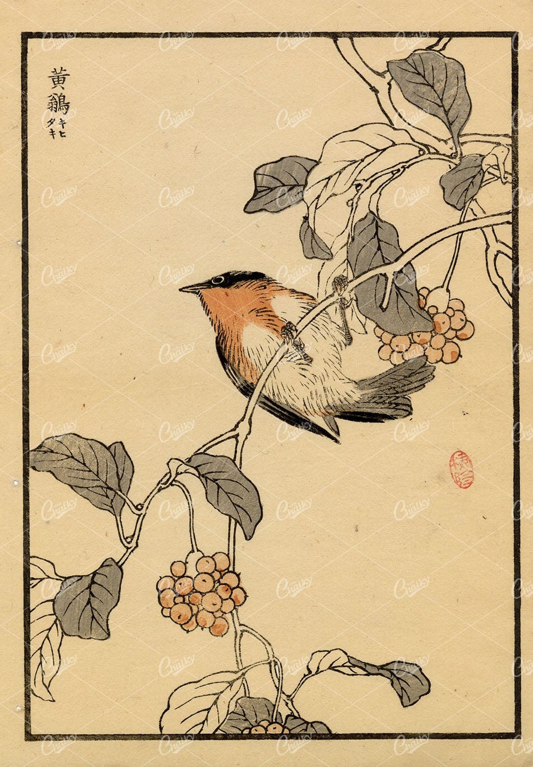 ANTIQUE Original Kono Bairei Woodblock Japanese Print 1881 Bird on Branch
