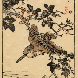 ANTIQUE Original Kono Bairei Woodblock Japanese Print 1881 Bird
