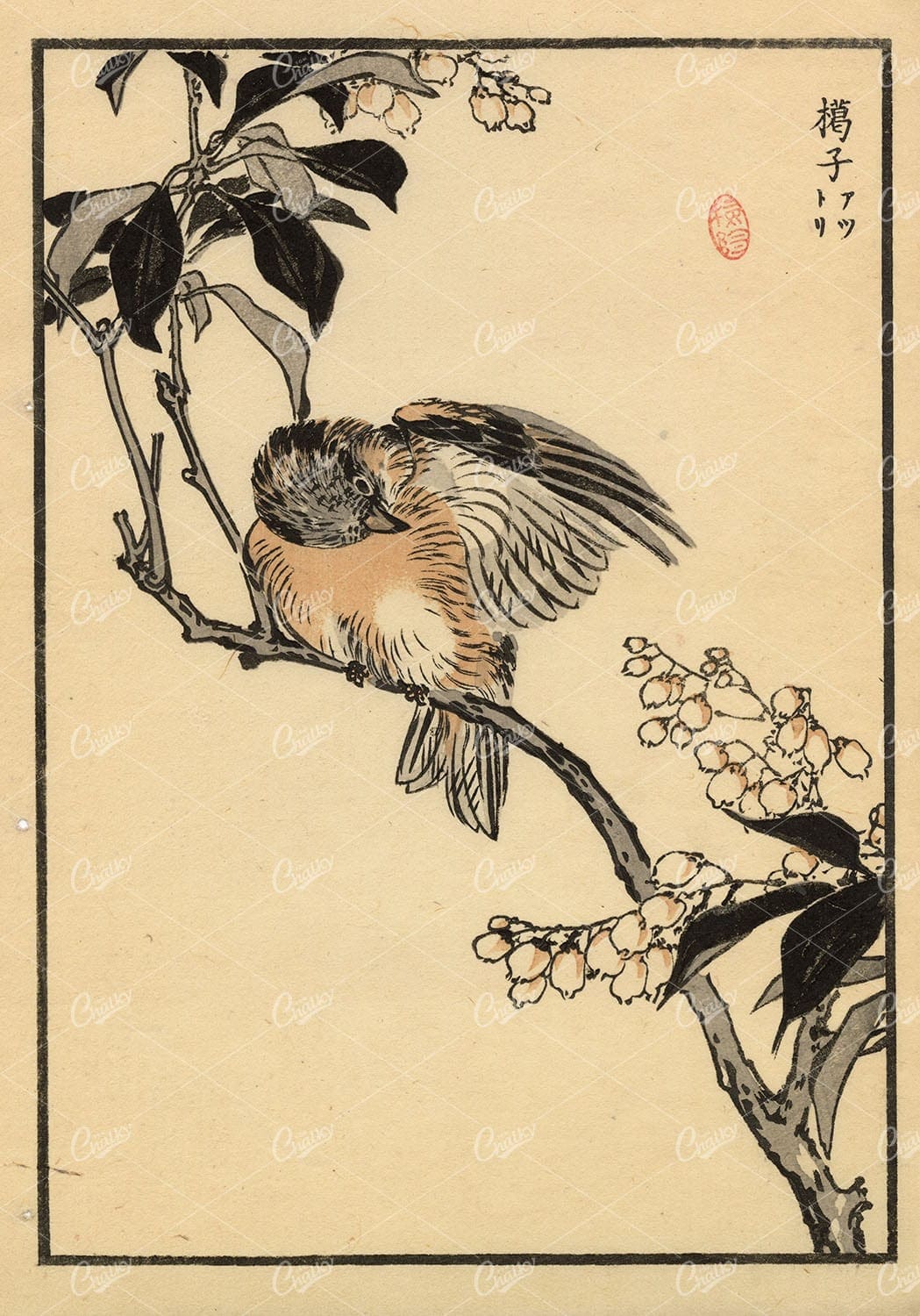 ANTIQUE Original Kono Bairei Woodblock Japanese Print 1881 Bird on Branch