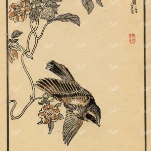 ANTIQUE Original '100 Birds' Kono Bairei Woodblock Japanese Print 1881