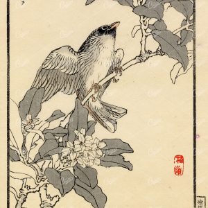 ANTIQUE Original Kono Bairei Woodblock Japanese Print 1881 Bird Butterfly