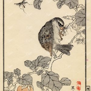 ANTIQUE Original Kono Bairei Woodblock Japanese Print 1881 Bird Eating