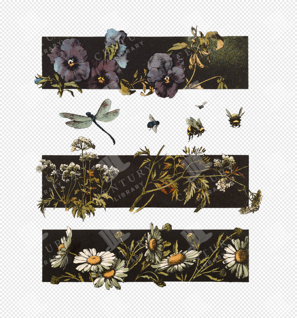 Floral And Insect Decorative Bands - Pansies, Bees, Daisies, Dragonflies
