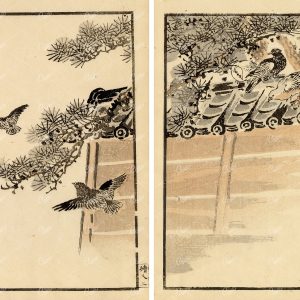 1881 Antique Kono Bairei Woodblock Japanese Art Print Birds in Tree