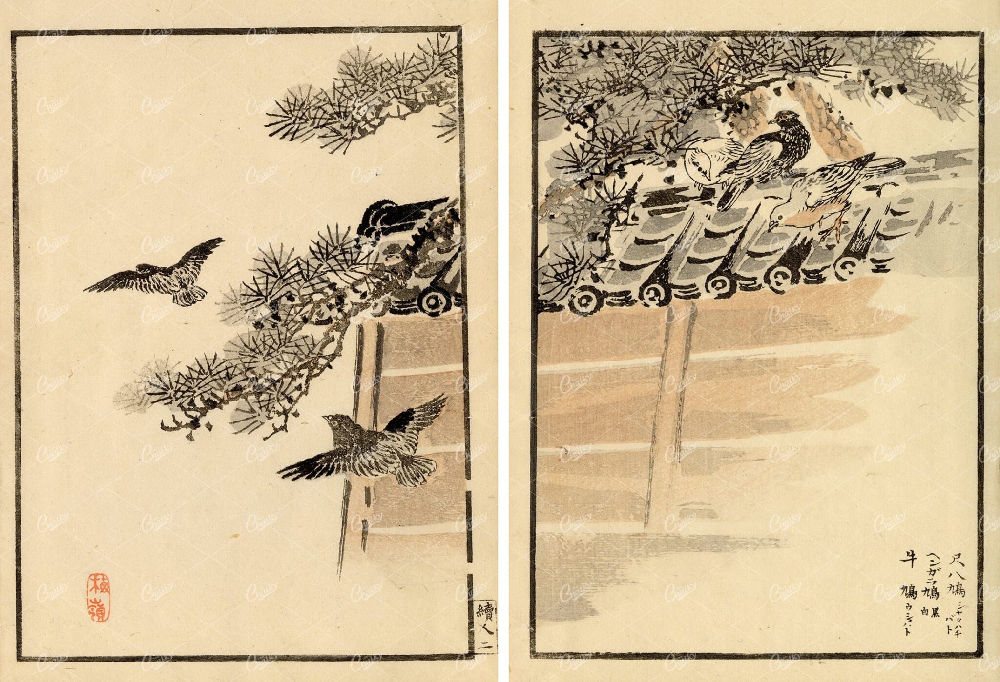 1881 Antique Kono Bairei Woodblock Japanese Art Print Birds in Tree