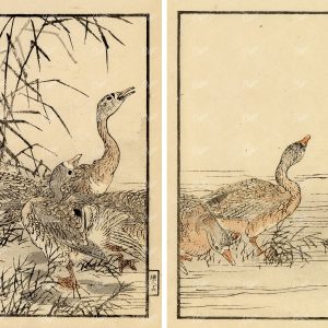 ANTIQUE Original Kono Bairei Wood Block Japanese Art Prints 1881 Ducks