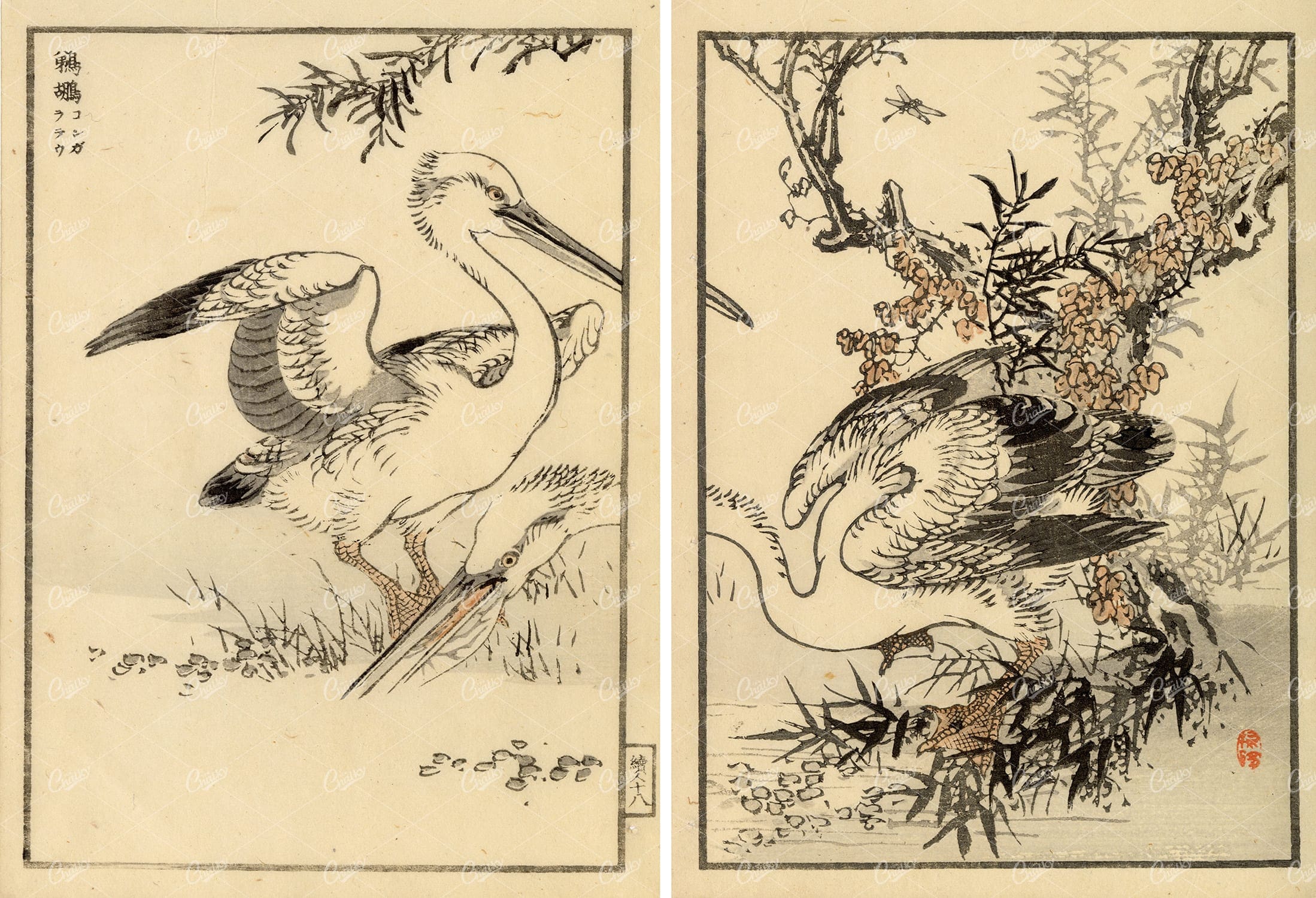 ANTIQUE Original Kono Bairei Woodblock Japanese Prints 1881 Pelicans