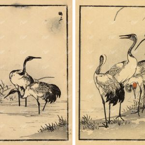 ANTIQUE Kono Bairei Wood Block Japanese Art Prints 1881 Cranes in River