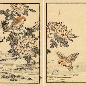 ANTIQUE Kono Bairei Woodblock Japanese Prints 1881 Birds and Flowers