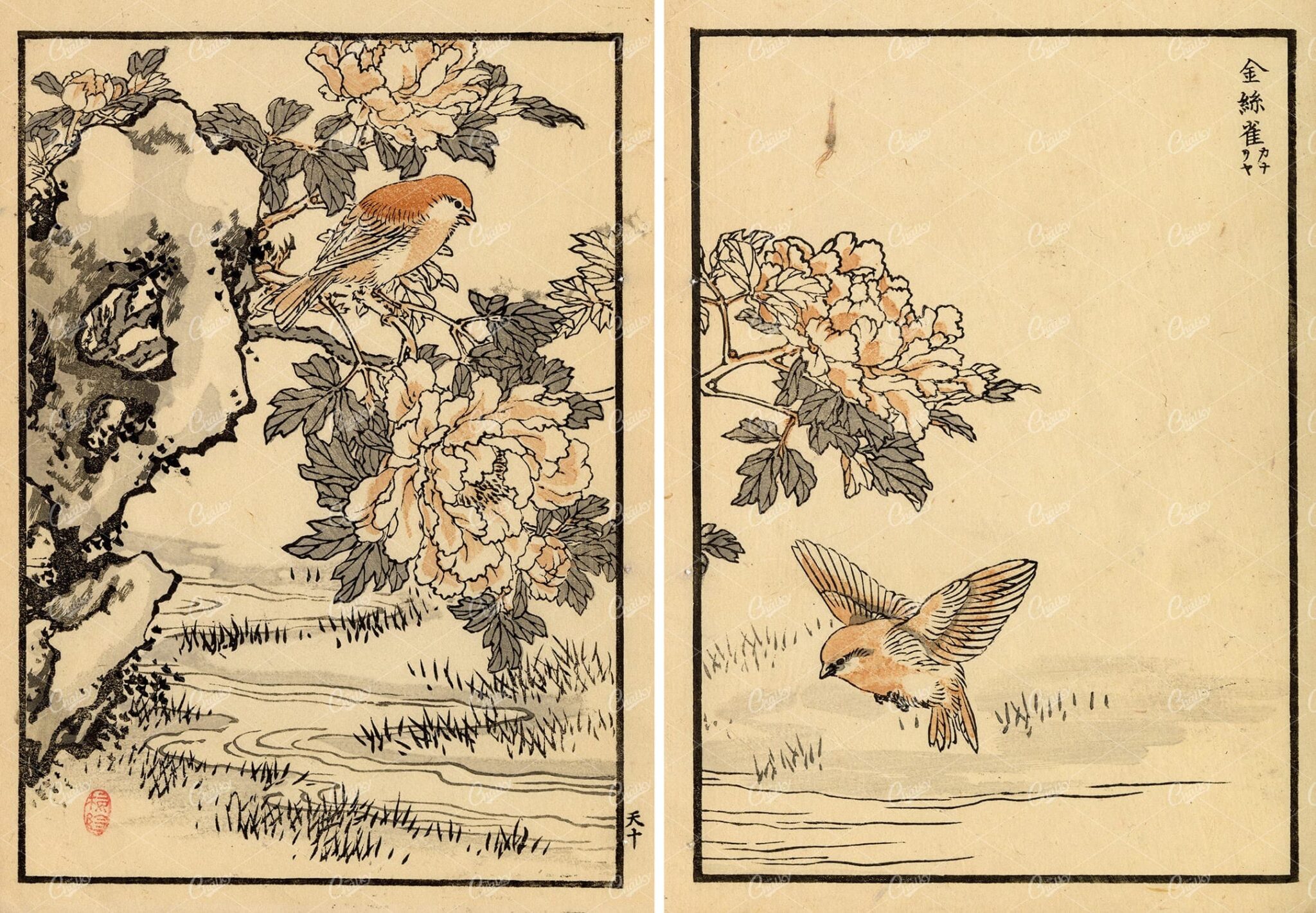 ANTIQUE Kono Bairei Woodblock Japanese Prints 1881 Birds and Flowers