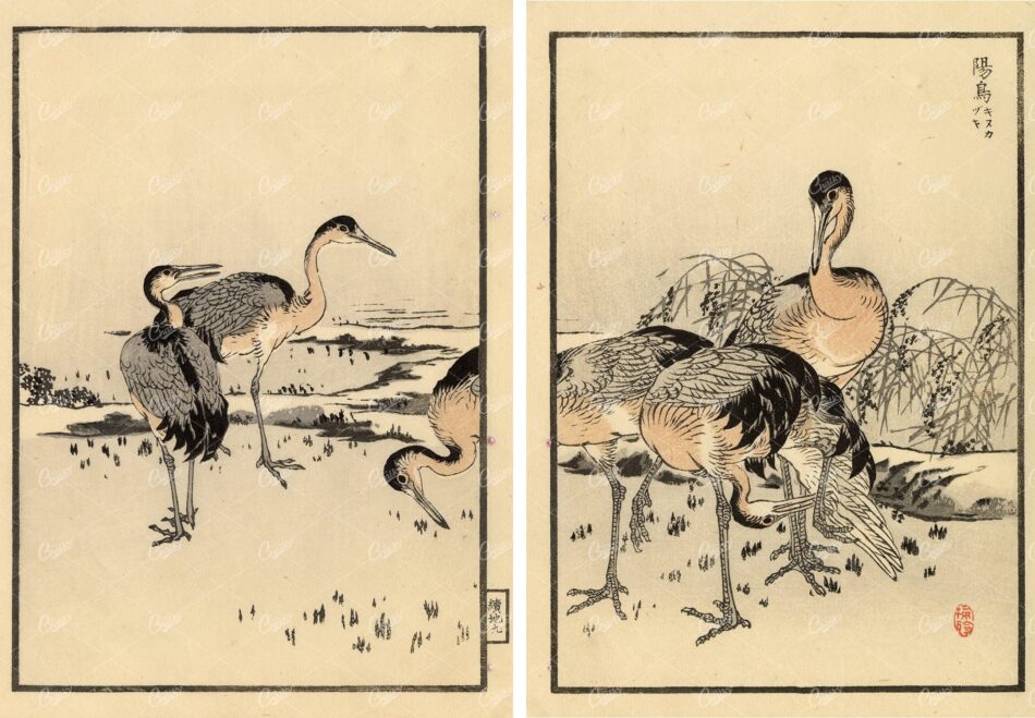 ANTIQUE Original Kono Bairei Woodblock Japanese Prints 1881 Cranes