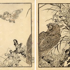 ANTIQUE Original Kono Bairei Wood Block Japanese Art Prints 1881 Owls