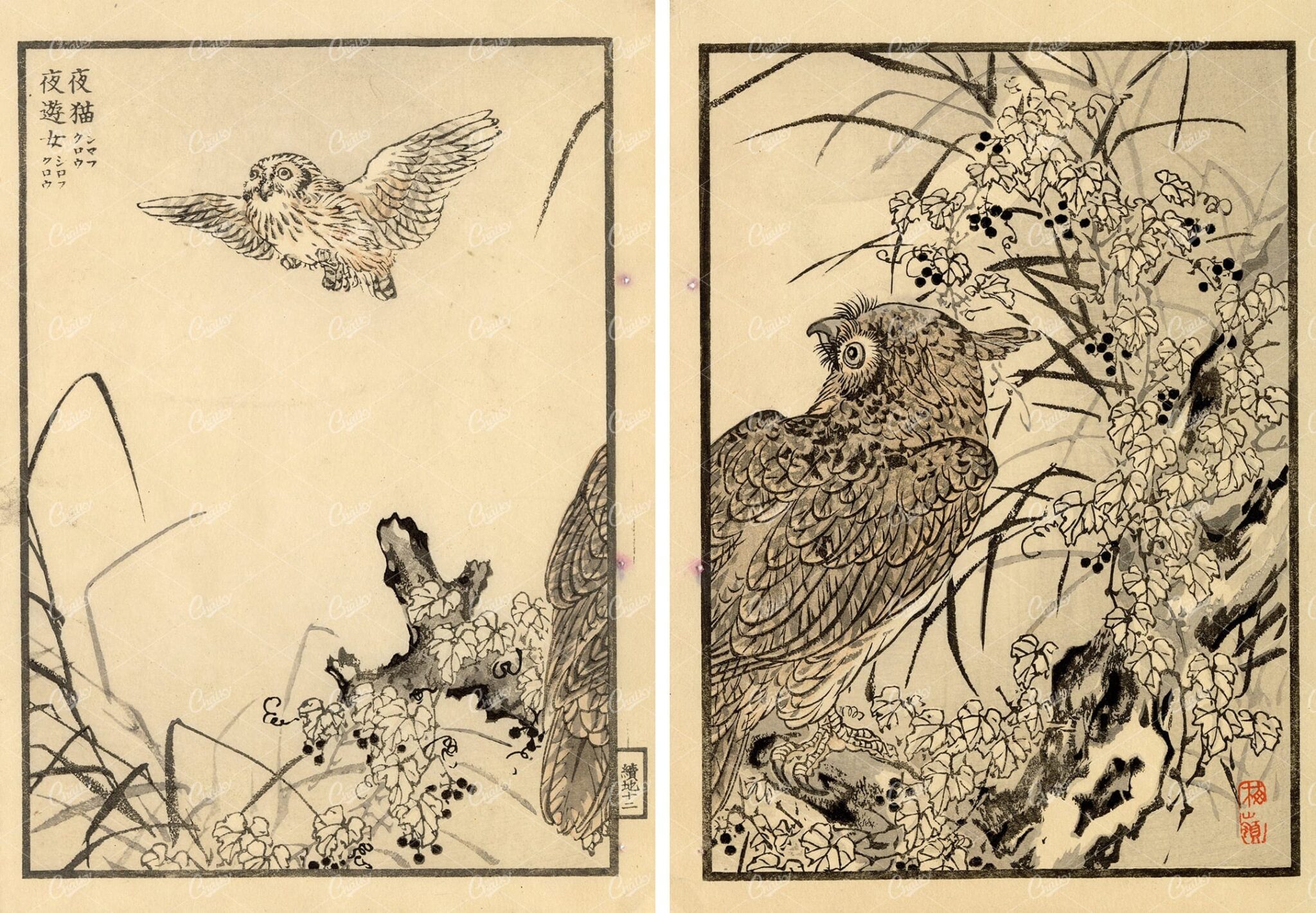 ANTIQUE Original Kono Bairei Wood Block Japanese Art Prints 1881 Owls