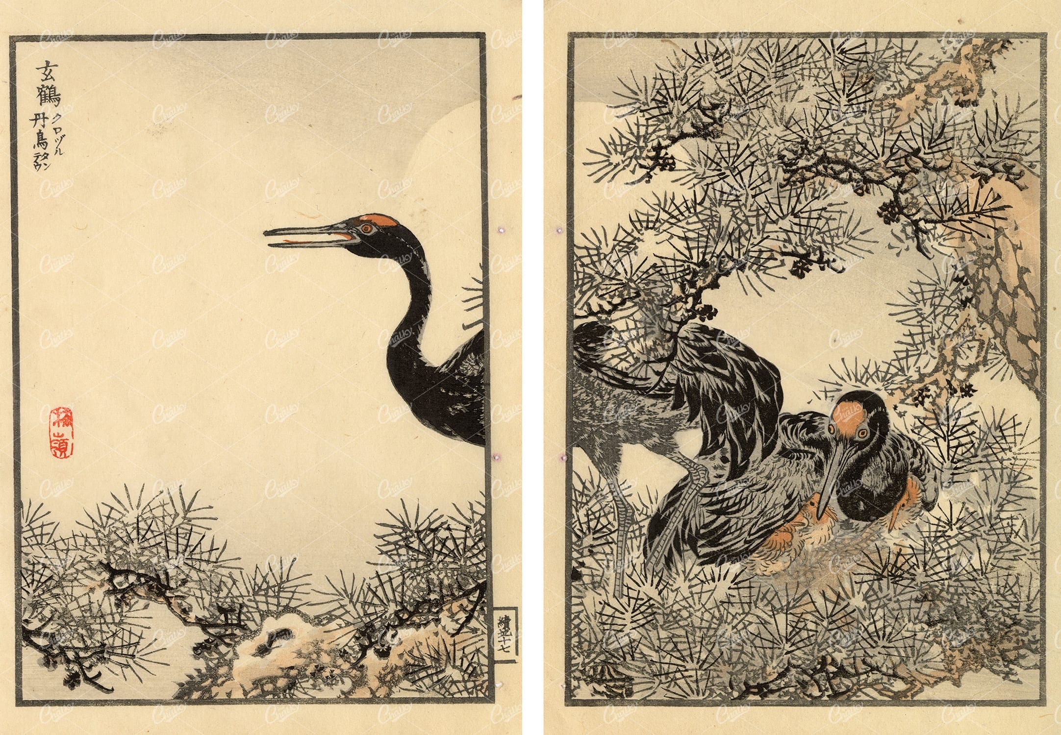 ANTIQUE Original Kono Bairei Woodblock Japanese Prints 1881 Birds