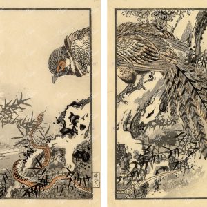 ANTIQUE Kono Bairei Woodblock Japanese Prints 1881 Bird and Snake