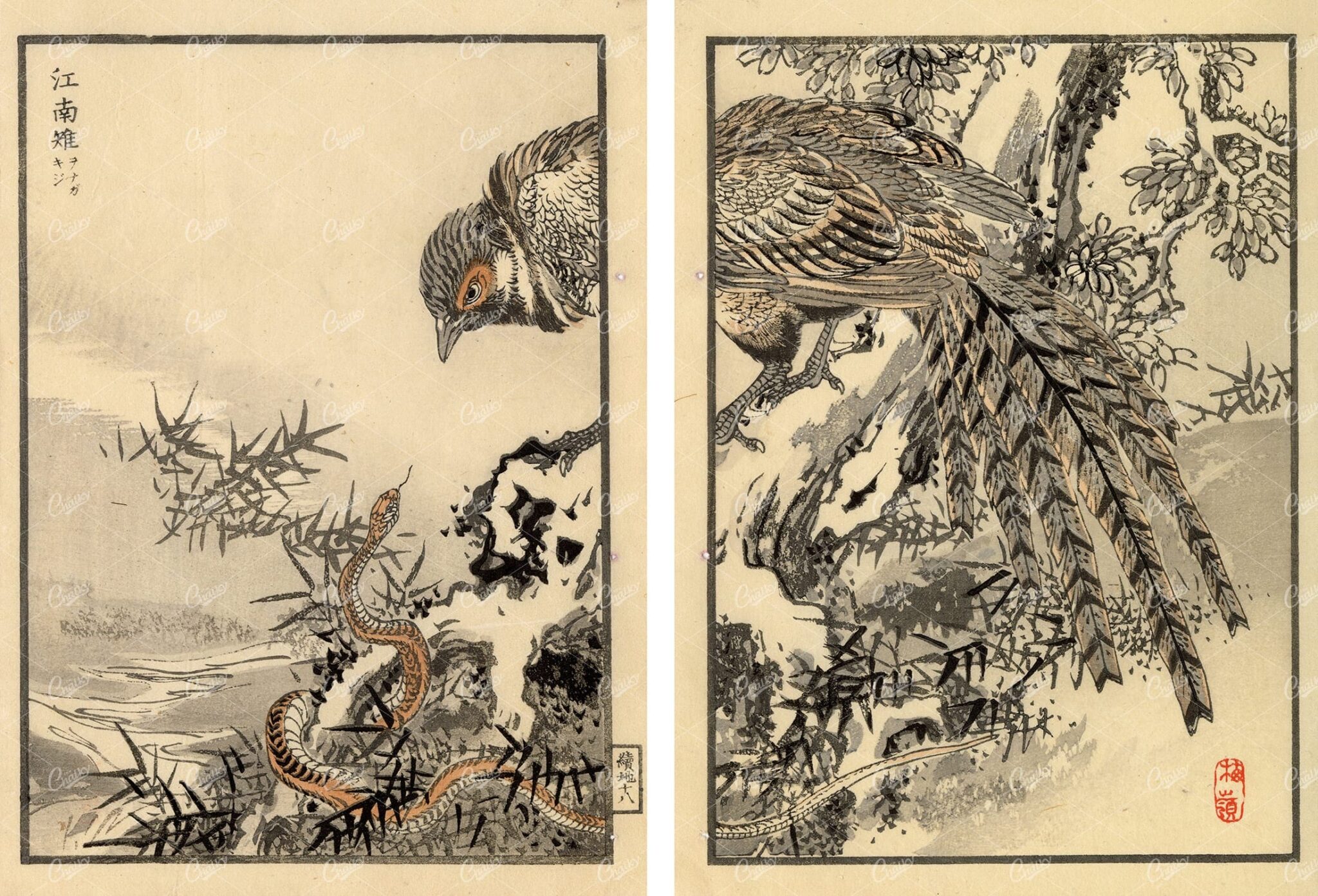 ANTIQUE Kono Bairei Woodblock Japanese Prints 1881 Bird and Snake
