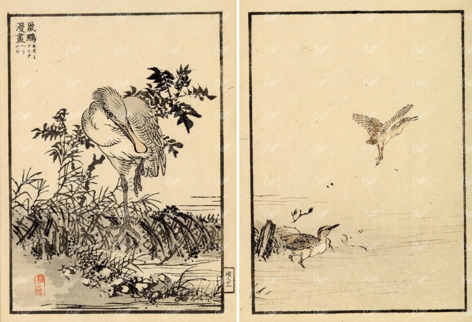 ANTIQUE Original Kono Bairei Woodblock Japanese Prints 1881 Birds