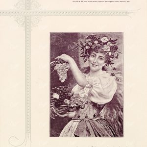 ANTIQUE Decorative Print Design 1891 Graphic Pattern Exchange