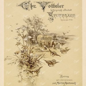 ANTIQUE Flying Birds Landscape Print 1891 Graphic Pattern Exchange
