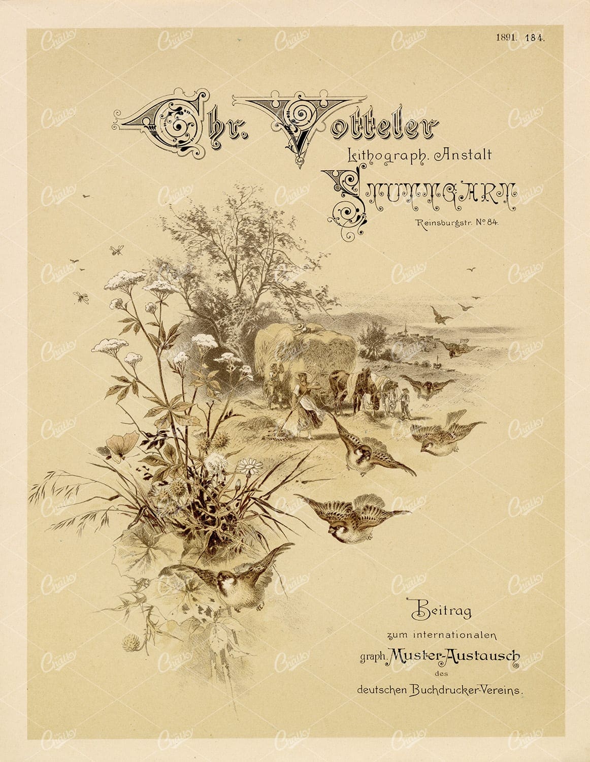 ANTIQUE Flying Birds Landscape Print 1891 Graphic Pattern Exchange